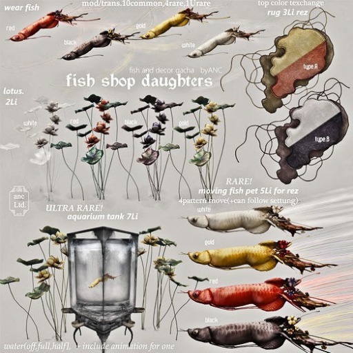 {anc} fish shop daughters / leaking rug [type.A] 3Li