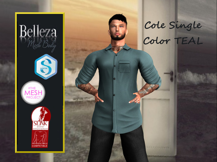 TA COLE SHIRT TEAL