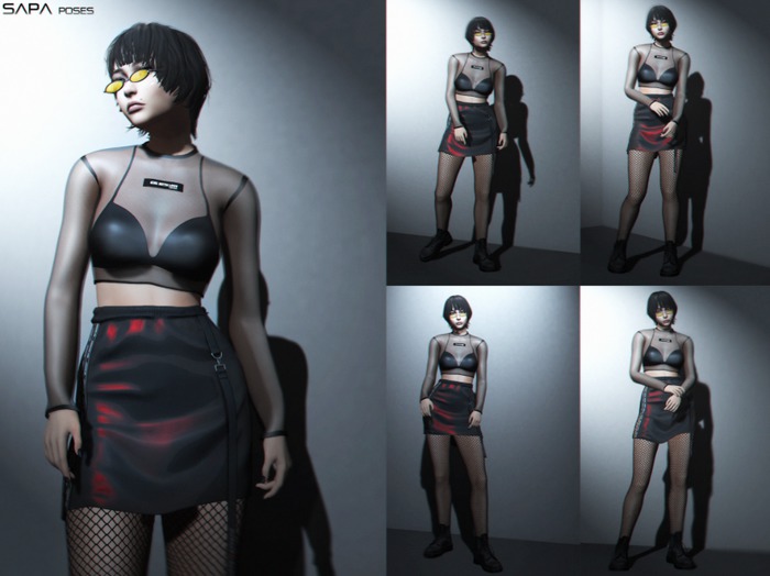 Sapa poses (v56)