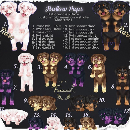 Foxwood - Hallow Pups - Twins Dark RARE