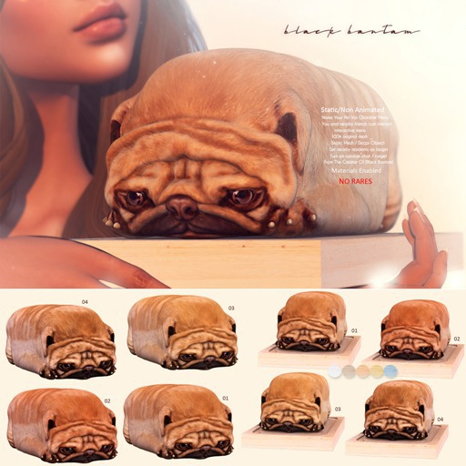 *[Black Bantam] Pug Loaf On Board 02