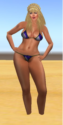 sena yip-BOM BODY-bento