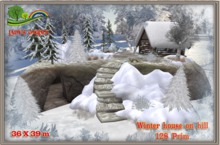 Lady's Garden - Winter house on hill 128 Prim 36X39m