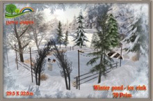 Lady's Garden - Winter pond - ice rink 79 Prim 29.5X32.5m