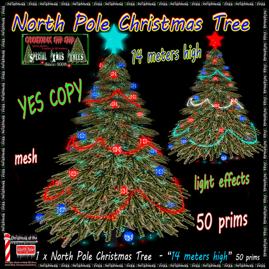 North Pole Christmas Tree - 14 meters high - box