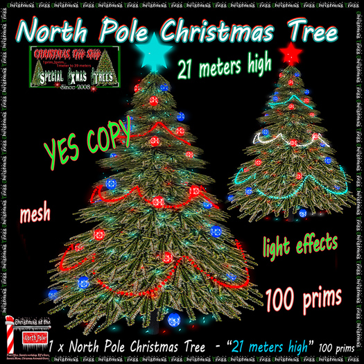 North Pole Christmas Tree - 21 meters high - box