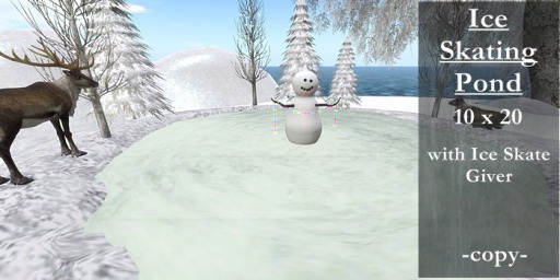 **BB**Ice Skating Pond with Ice Skate Giver