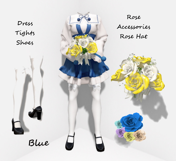 2010 Dress set box / Navy