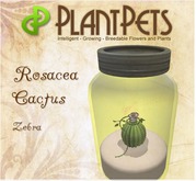 PlantPet Seed [Rosacea Cactus *Zebra*]