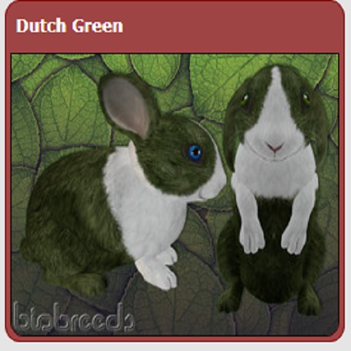 Dutch Green