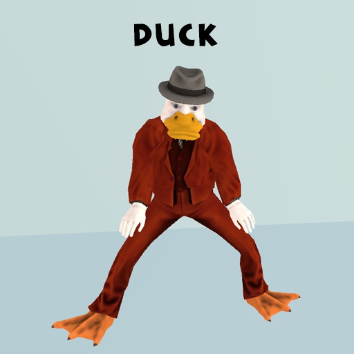 Duck Animesh