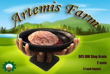 DFS - HW Slug Brain 2019