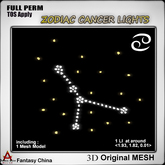 FC- FP Mesh Zodiac cancer Lights