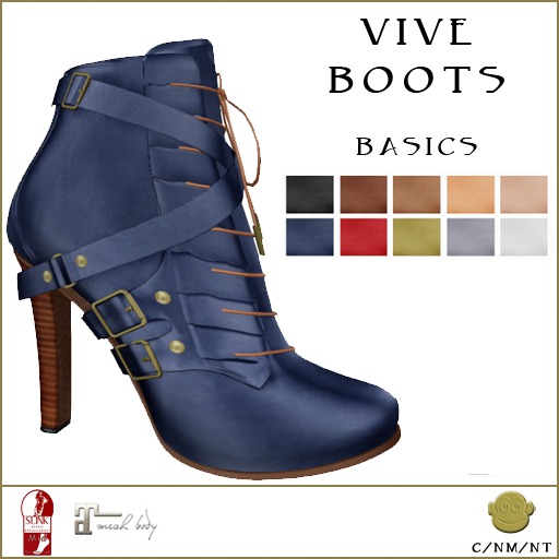 BM Vive Boots Basics DEMO