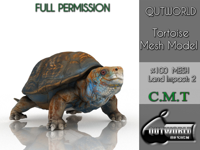 .::QUTWORLD Tortoise Mesh Model::.FP 