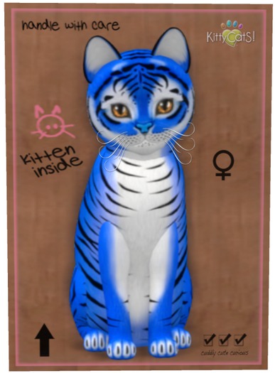 KittyCatS Box - Tiger! - Huckleberry