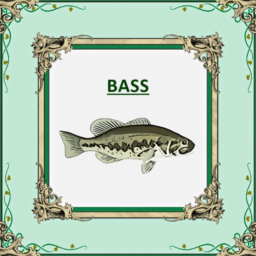 DFS BASS TEXTURE