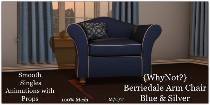 {WhyNot?} Berriedale Arm Chair - Blue & Silver-Boxed