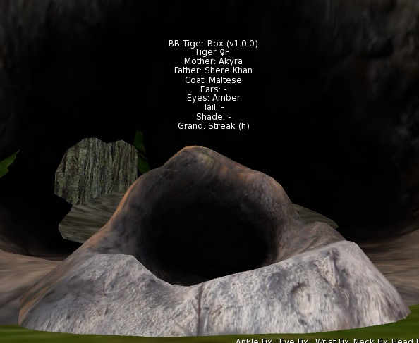 BB Tiger Box v1.0.0 Female