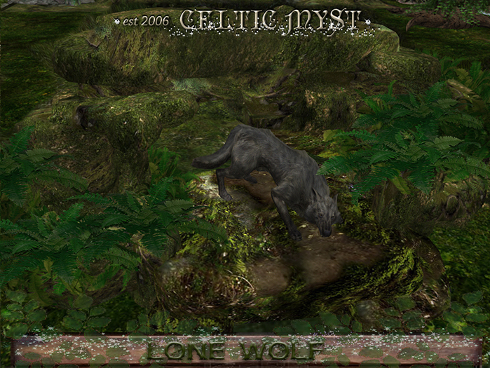 LONE WOLF IN ROCK - Celtic Myst mAgIcKdEcO