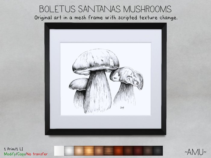 ~AMU~ Boletus Satanas mushrooms - framed ink drawing