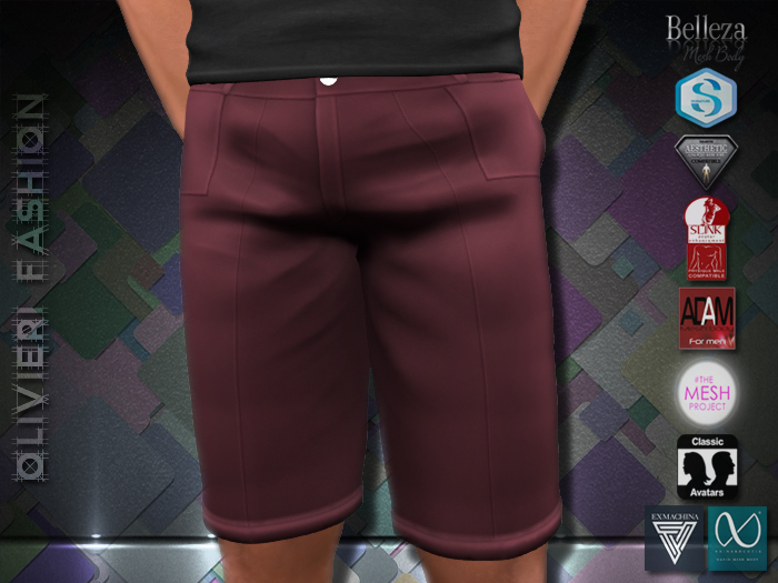 BRANDEN SHORTS - PORT