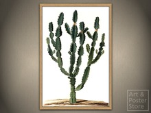 AFRICAN MILK TREE From The Moninckx Atlas | Mesh Designer Frame with 6 texture options