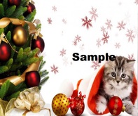 Christmas Backdrop Picture with Kitty