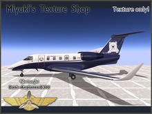Texture for Dani Airplanes D-300 (Bear Navy)