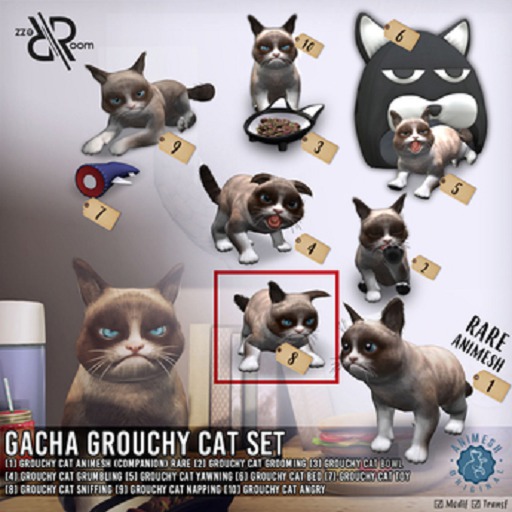 [Rezz Room] Pack Grouchy Cat Sniffing