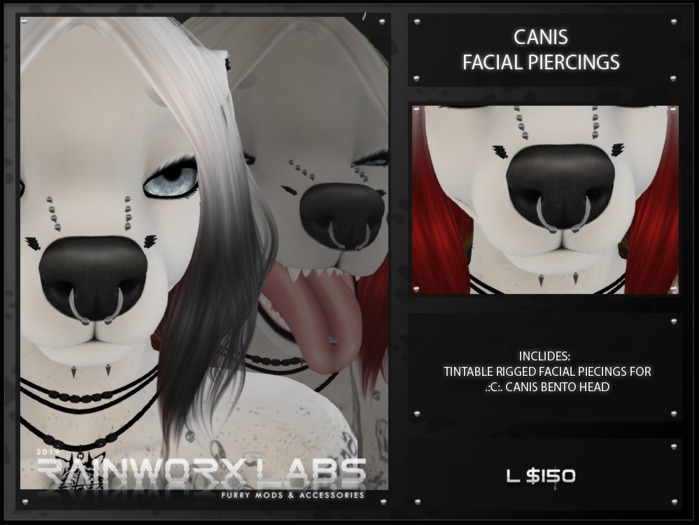 [RL] Canis Facial Piercings box