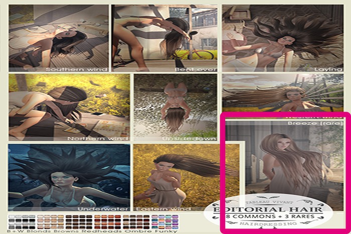 Tableau Vivant \\ Editorial \ Breeze - Pack 3 - RARE