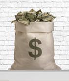 Money Bag Wall Decal - Full Perm