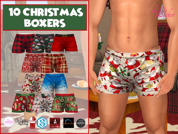 LL - DEMO Christmas Boxers (wear to unpack)
