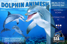 [SM] Dolphin Animesh (Boxing)