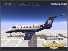 Texture for Dani Airplanes D-100 (D100 Navy bear)