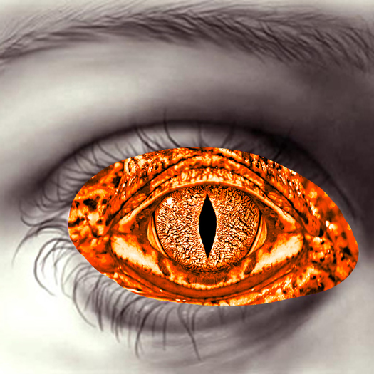 Lizard Eyes-Orange HD *Hidden~Surface*
