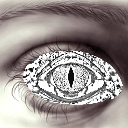 Lizard Eyes-White HD *Hidden~Surface*