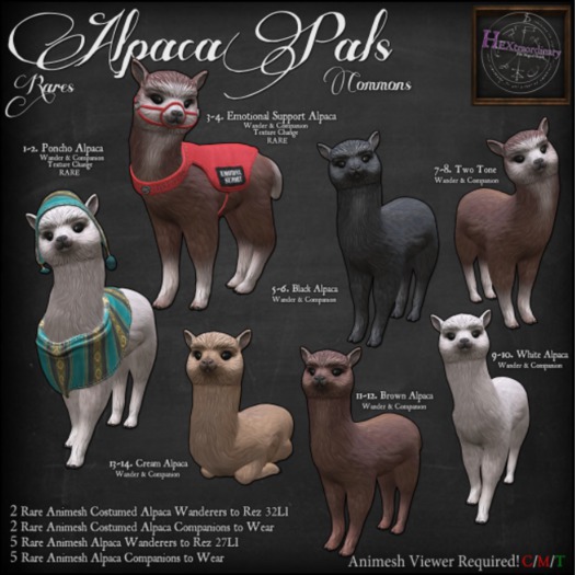 1. *HEXtraordinary* Alpaca - Poncho Wanderer - RARE