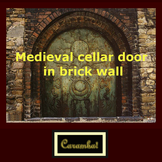 Medieval cellar door in brick wall - texture