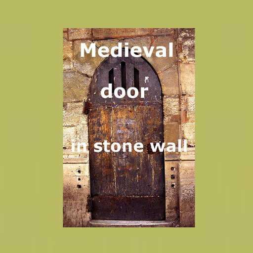 Medieval door in stone wall - texture