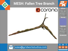 MESH: Fallen Tree Branch