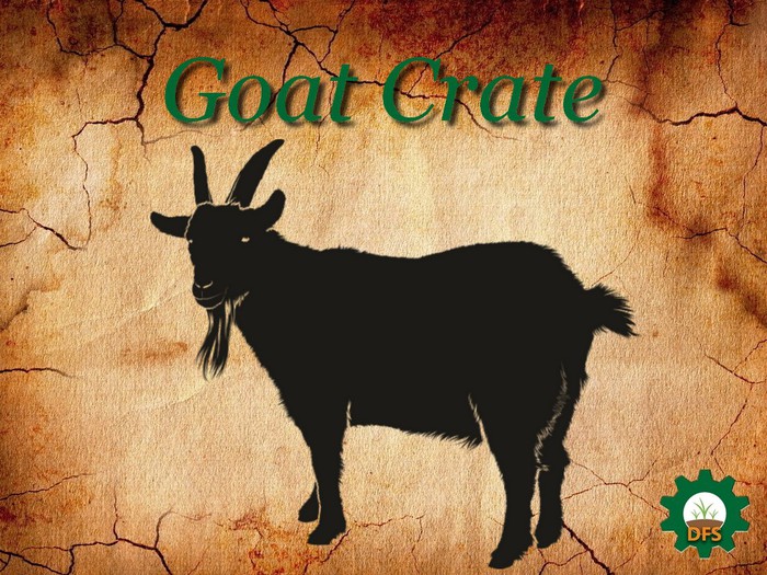DFS Texture Goat crate