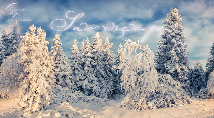New! Backdrop ~Snowscape~