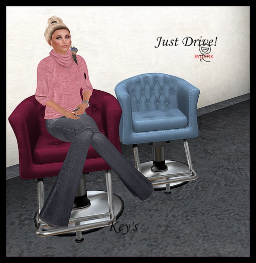 Salon Chairs with Adjustable Avsitter2 sits - in BLUISH and PLUMISH