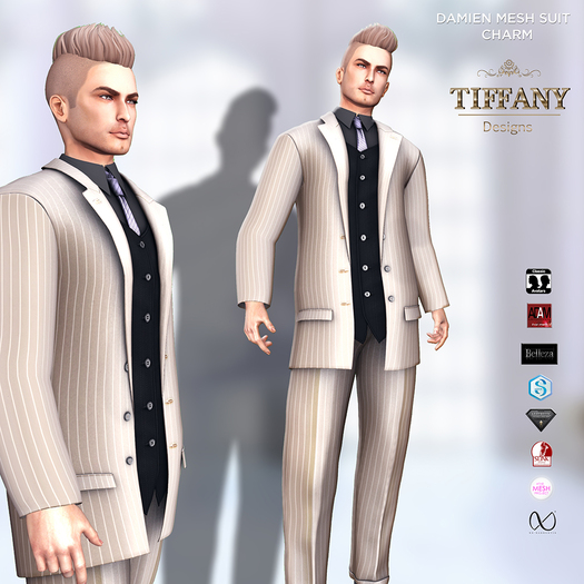 ::TD:: Damien Men Formal Suit ~ Charm