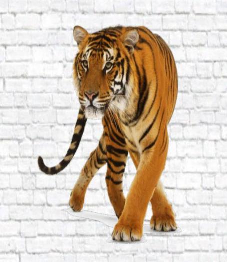  Tiger Wall Decal 