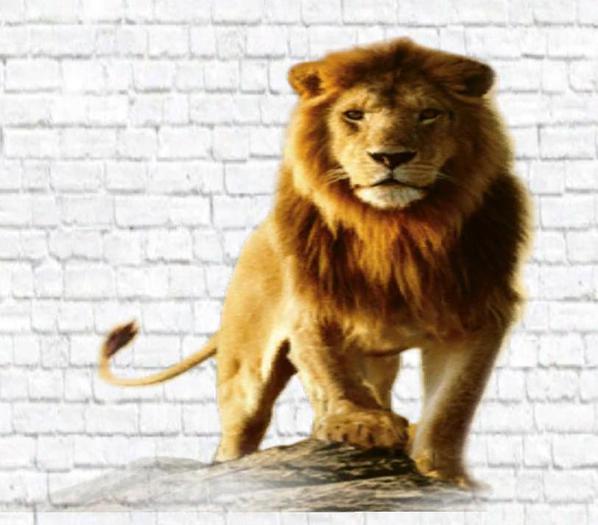 Lion Wall Decal