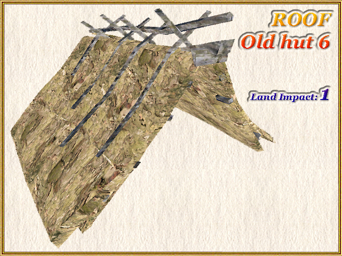 ROOF Old hut 6