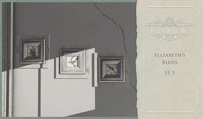 Elizabeth's Birds